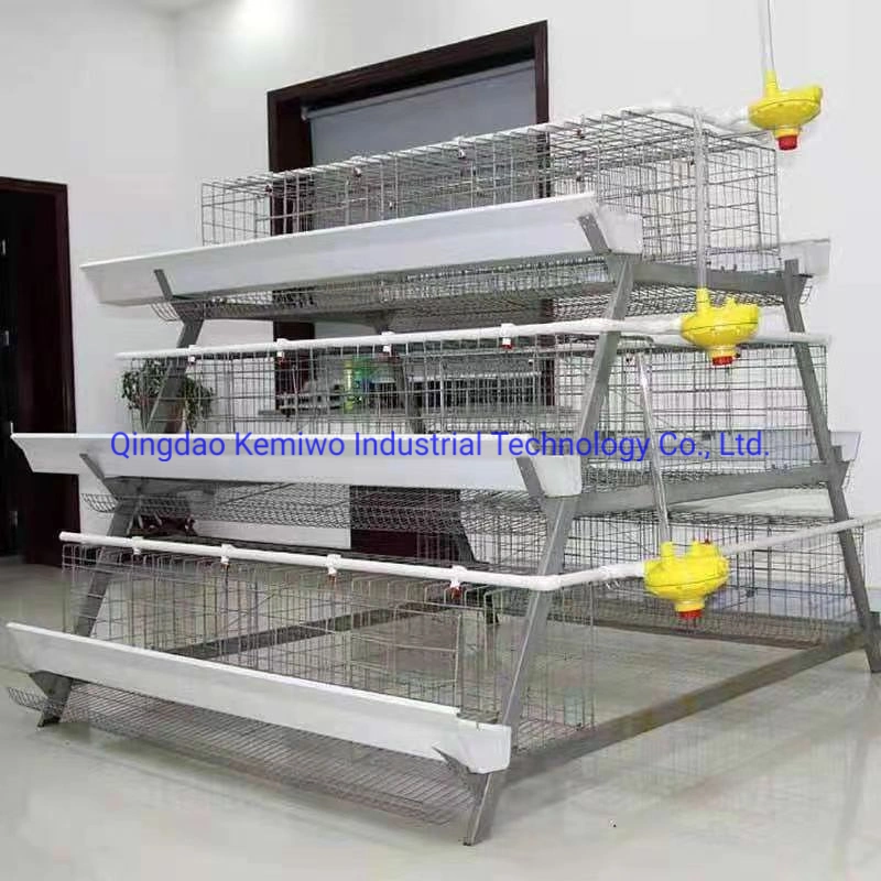 Chicken Farm Feeding System Automatic H-Type Chicken Cage