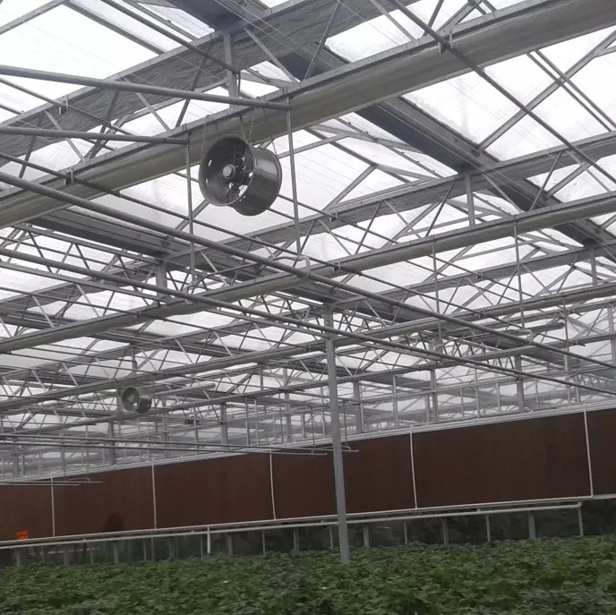 High Quality Hanging Type Air Circulation Fan Agriculture Equipment for Greenhouse