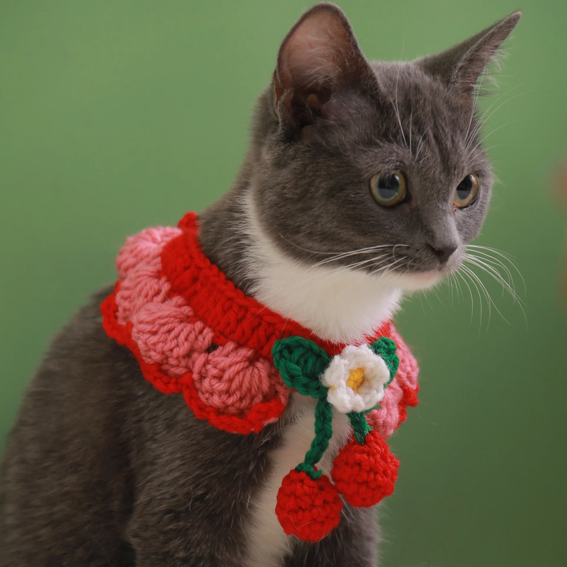 Knitted Dog Cat Collar Christmas Woolen Ornament Pet Collar
