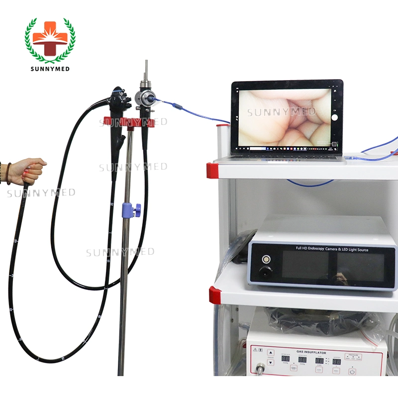 Cheapest Gastroscope vidéo USB électronique Videoscope gastro-intestinal