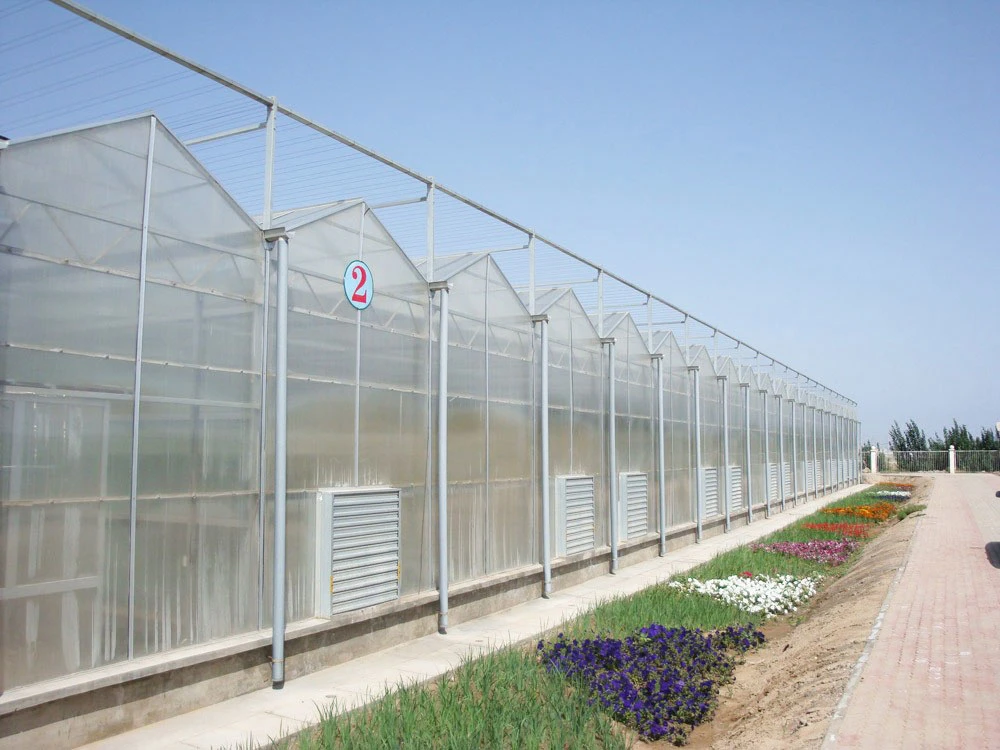 Hot DIP Galvanized Steel Frame Plastic Sheet Aeroponics System Polycarbonate