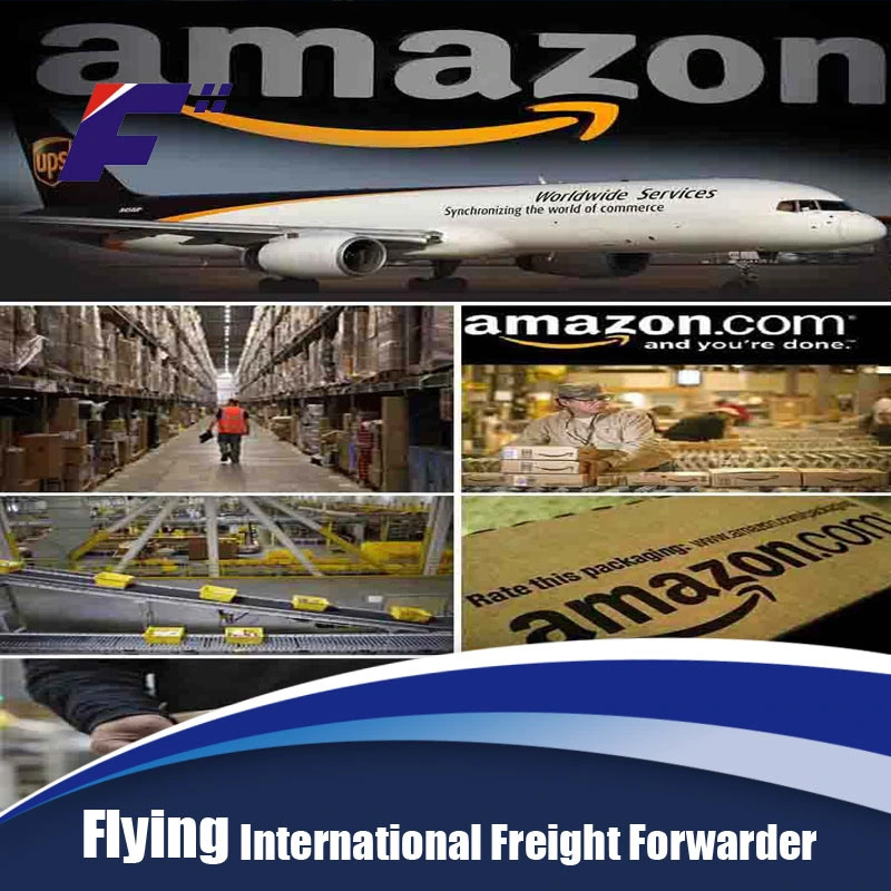 Servicio de carga de aire profesional Freight Forwarder, China a EE.UU Amazon Fba Almacén