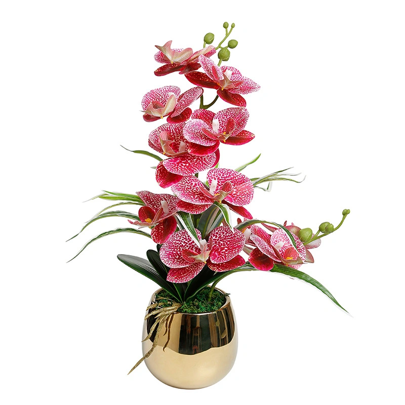 Artificial Orchid Flower Arrangements with Porcelain Vase, Bonsai Decoration (White)