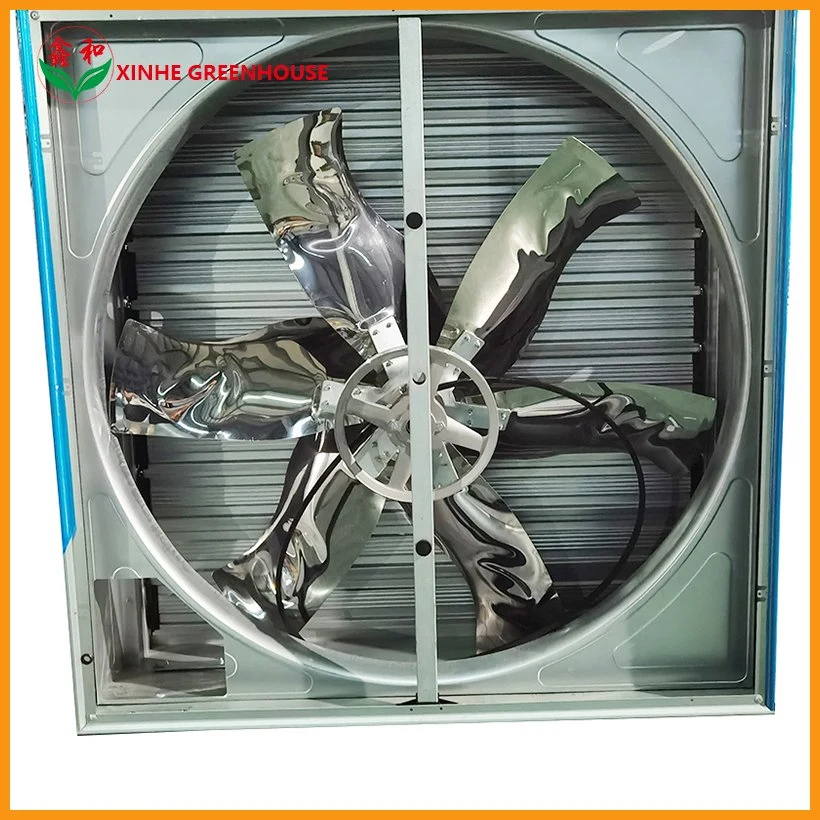 Greenhouse Exhaust Cooling Fan for Cooling System with Low Price