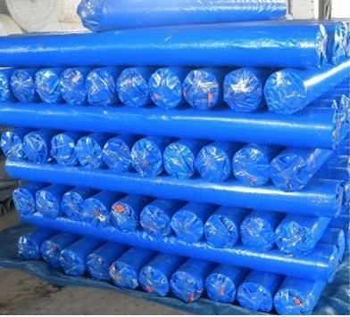 Tarpaulin PE/PVC Plastic Sheet with All Specifications PE Tarp PE/PVC Tarp Roll