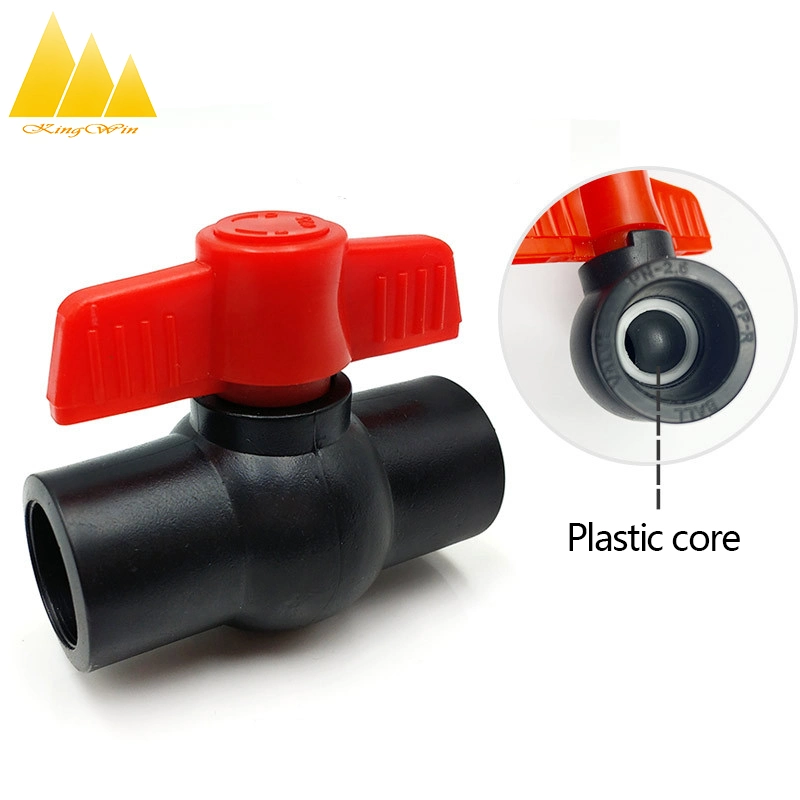 HDPE Check No Return Pipe Fittings Bottom Foot Valve