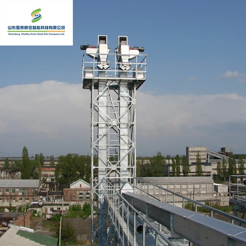 Alta Eficiência da cadeia de grãos elevador de canecas galvanizado Vertical e revestimento de milho Trigo Arroz elevador de canecas