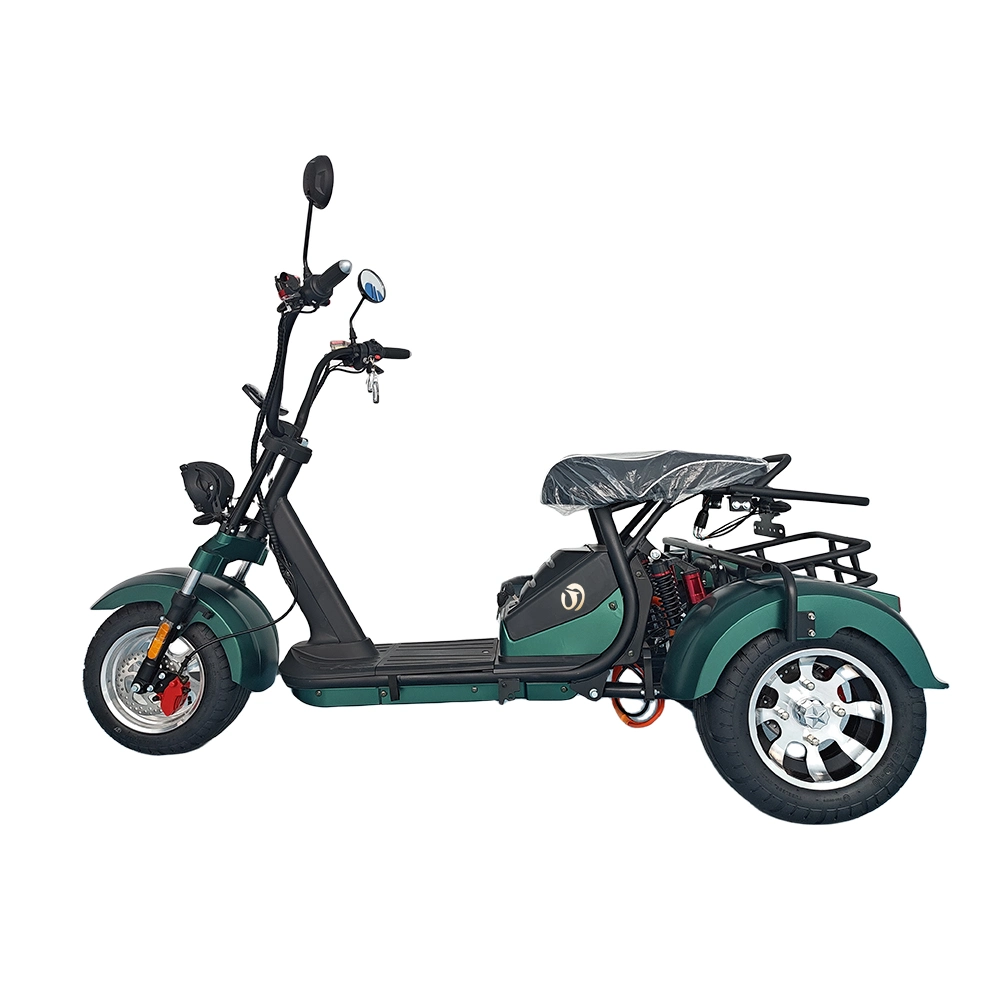 Scooters elétricas de 1500 W, com desempenho potente, 3 rodas, e orçamento acessível