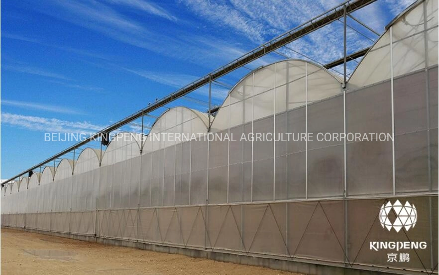 Multi Span Plastic Film Greenhouse for Flowers