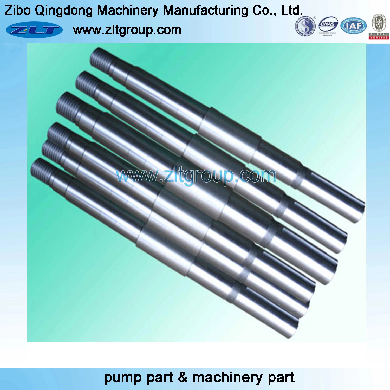 Customized OEM/ODM CNC Machining Shaft in Stainless Steel 316/CD4/304 Used in Machinery Industry