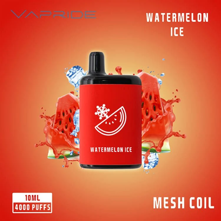 2023 Market New Trend 2000/4000/5000puffs Original Mesh Coil Disposable/Chargeable Vape Ecig