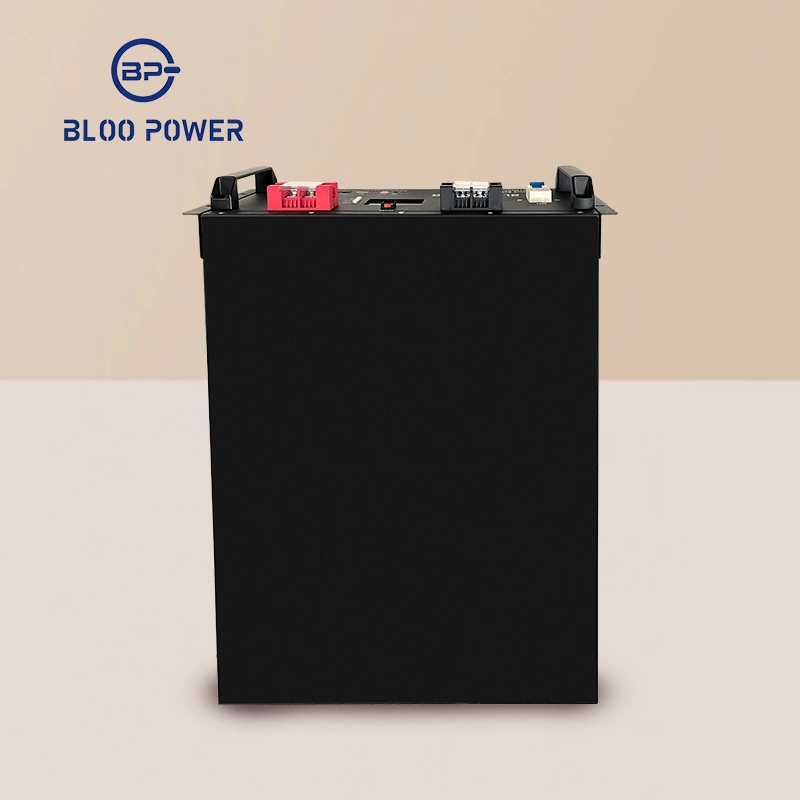 Bloopower12V 12.8V 24V 36V 48V 60V 72V 50ah 100ah 120ah 150ah 200ah 5.12kwh Electric BMS Chargers House Supply at Home on Grid Power