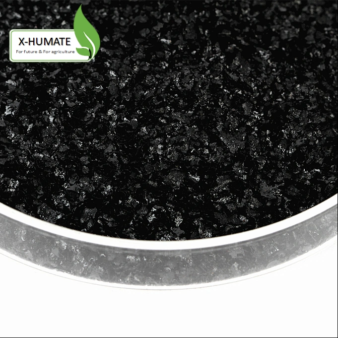 X-Humate Humic Manufacturer 98% Super Potassium Humate