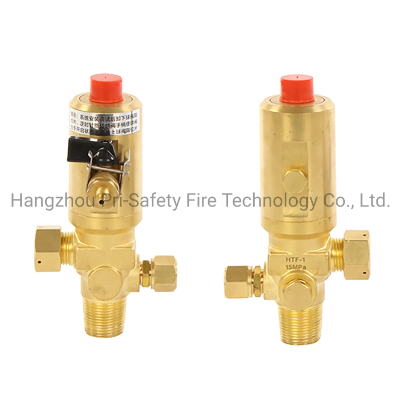 Dhp CO2 Valve for Egypt Market