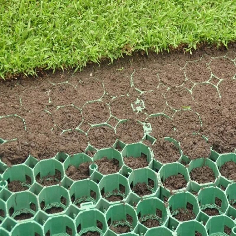 Hot Sale Plastic Grass Paver Grass Grid for Lot Golf Lane