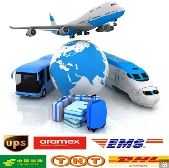 Sea Freight Forwarder From China Logistics to Bulgaria