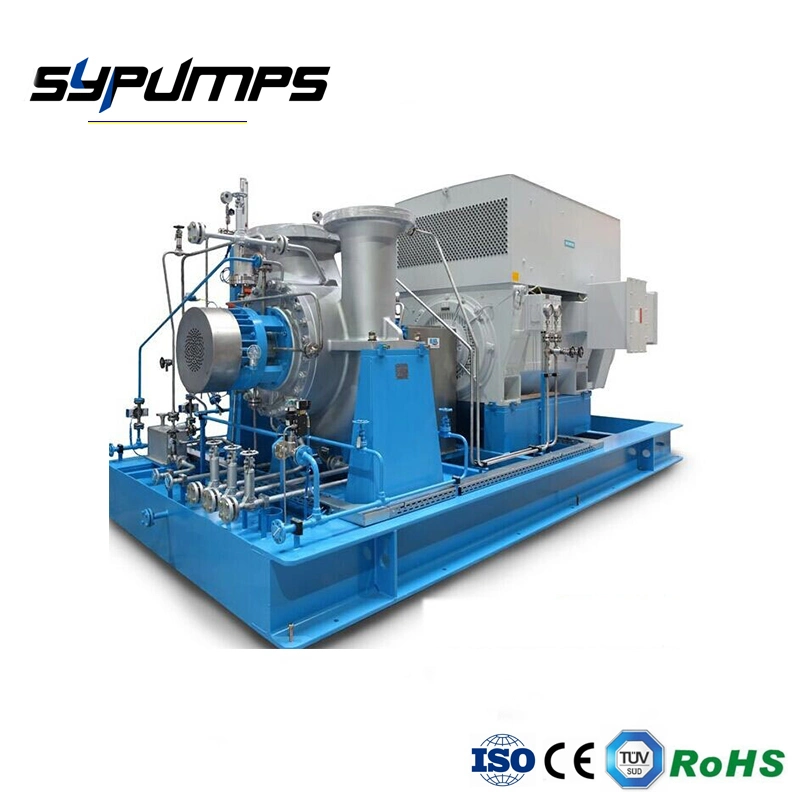 API610 Bb2 Pumps Radially Split, Single Stage, Between-Barings Double Suction Pumps