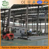 Agriculture Energy Saving Photovoltaic Panels Greenhouse