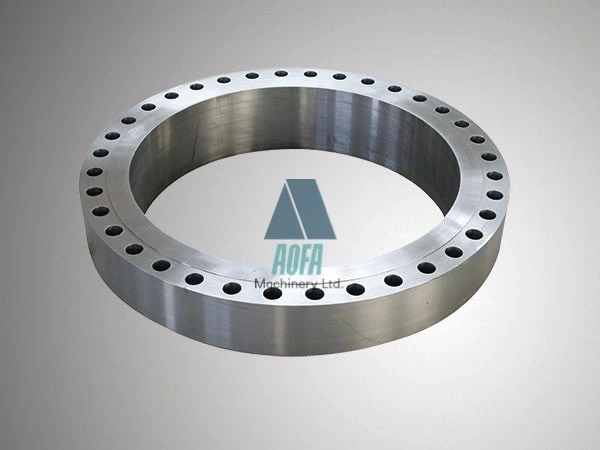 Customized Carbon Steel A105/Rst37.2/C22.8/Q235 Stainless Steel Flanges Stainless Steel Weld Neck Flange