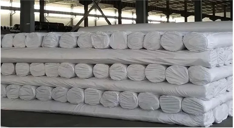 Railway /Highway Construction Materials Geogrid Composite with Geotextile