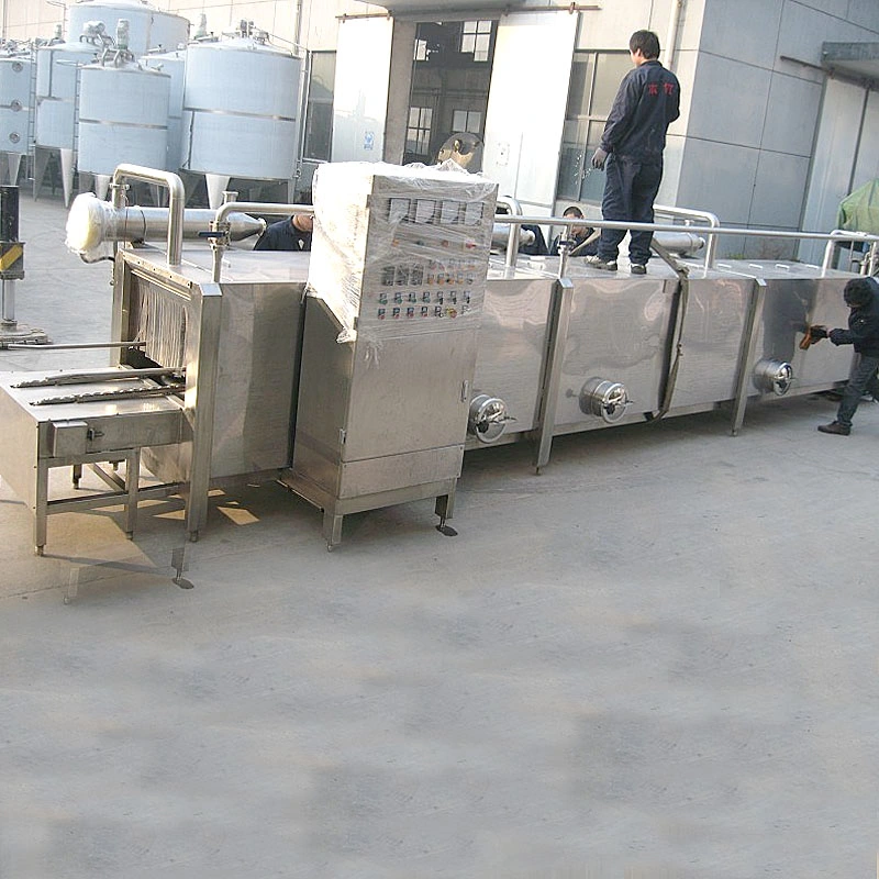 600 PCS/H Plastic Crate Washing Machine