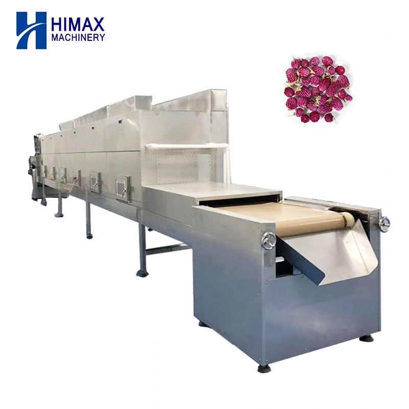 Fully Automatic Industrial Microwave Drying Equipment