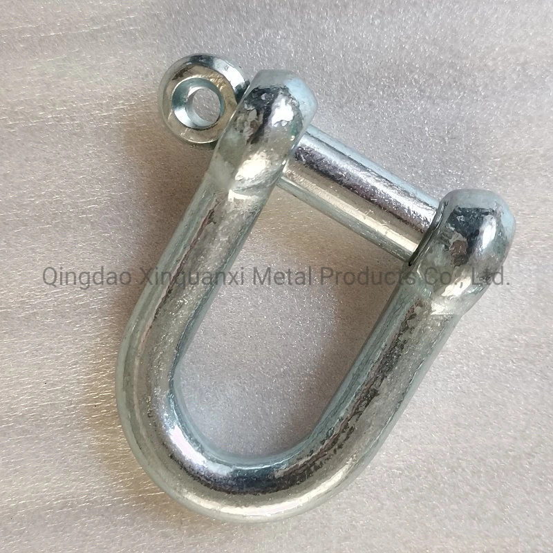 Factory Direct Supply Marine Lifting JIS Type D Shackle Galvanized or Stainless Steel EU Type Dee Shackle