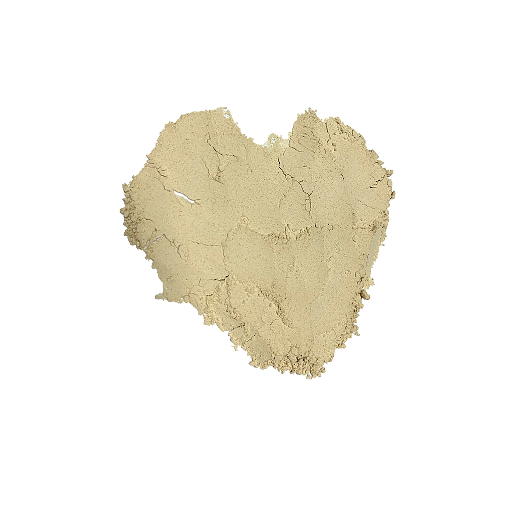 Top Quality Light Selected Healthy Dried Shitake Mushroom Powder