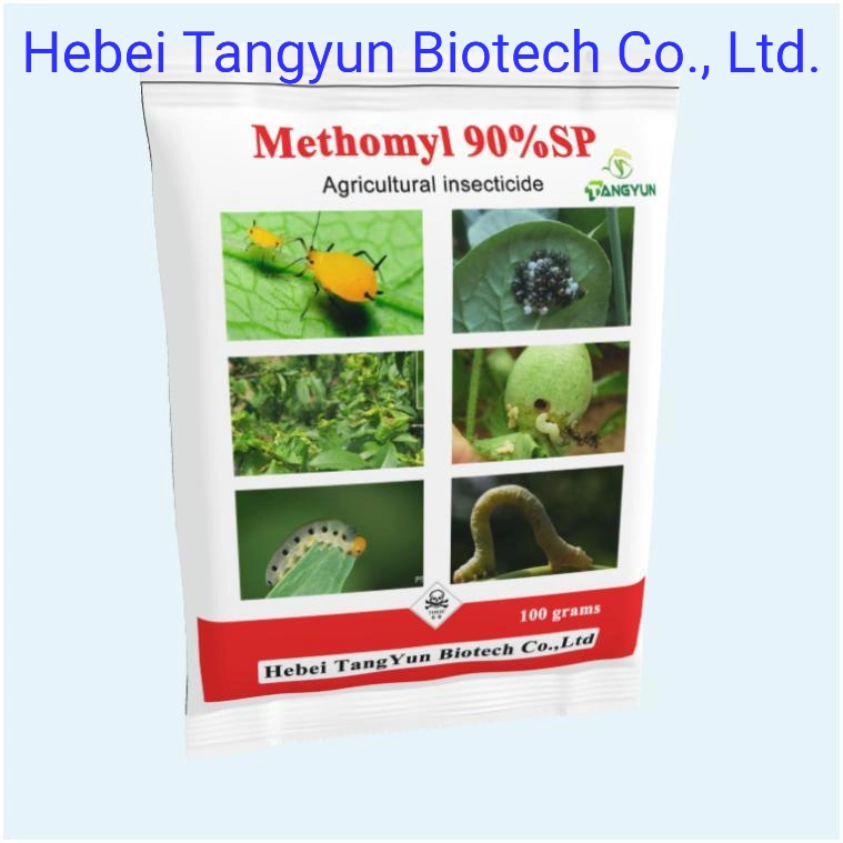 Weed Control Hbebicide Nicosulfuron 75%Wdg