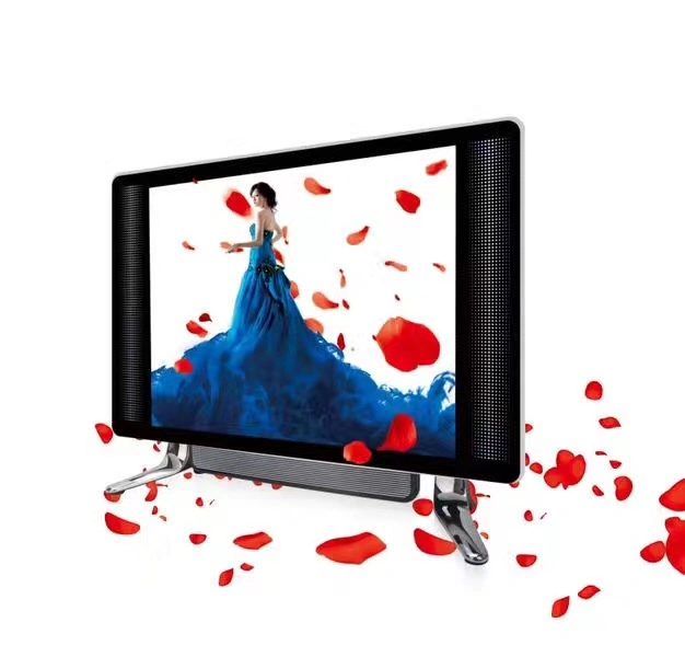 Double glace 19 pouces de couleur LCD/LED TV