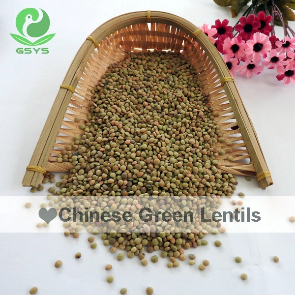 Lentilhas orgânicas chinesas Quality Green lentilhas Hot Sale