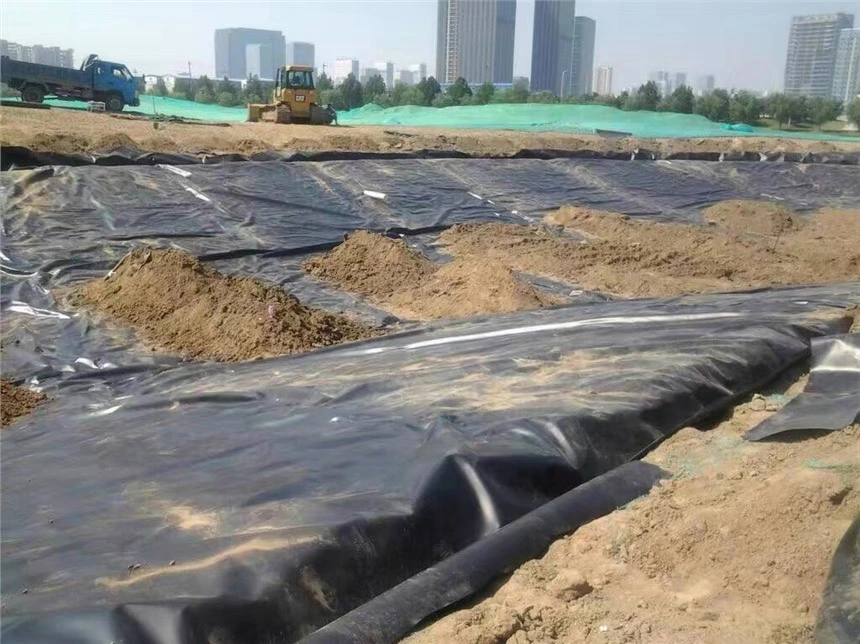 Fish Farm Pond Liner HDPE Geomembrane Waterproof Plastic Materials