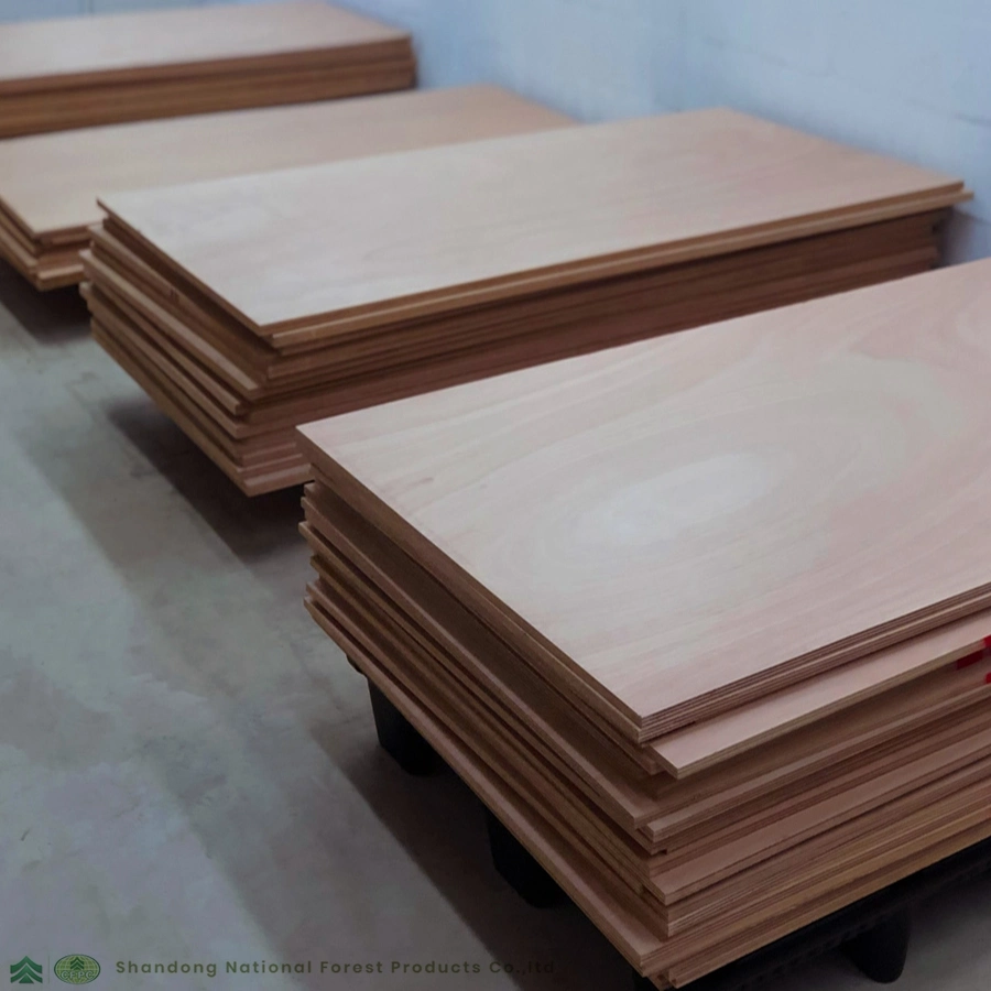 Hot Sale Use for Building Film Faced Plywood Birch Plywood