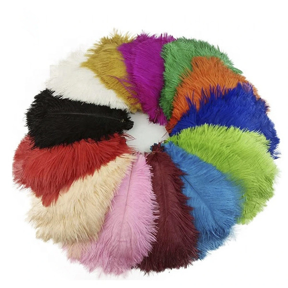 Wholesale Fashion Colorful Natural Ostrich Feather