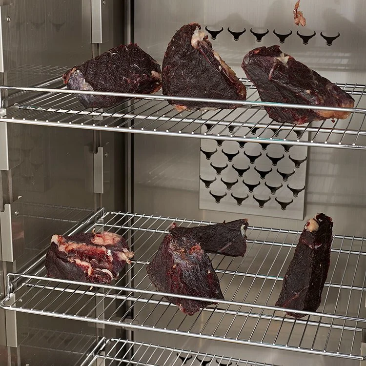 Maturing Fridges Energy Saving Beef Steak Beef Dry Aging Beef Meat Cabinet Aging Refrigerator