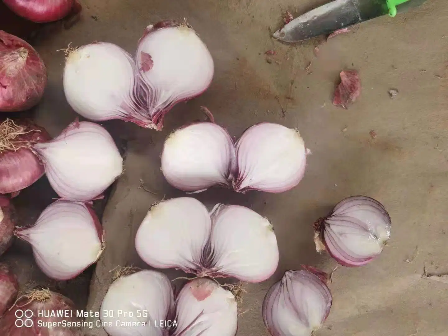 Carnes frescas de cebola cebola vermelha / Gold cebola, Alta Qualidade Melhor Preço a partir de China Fornecedor