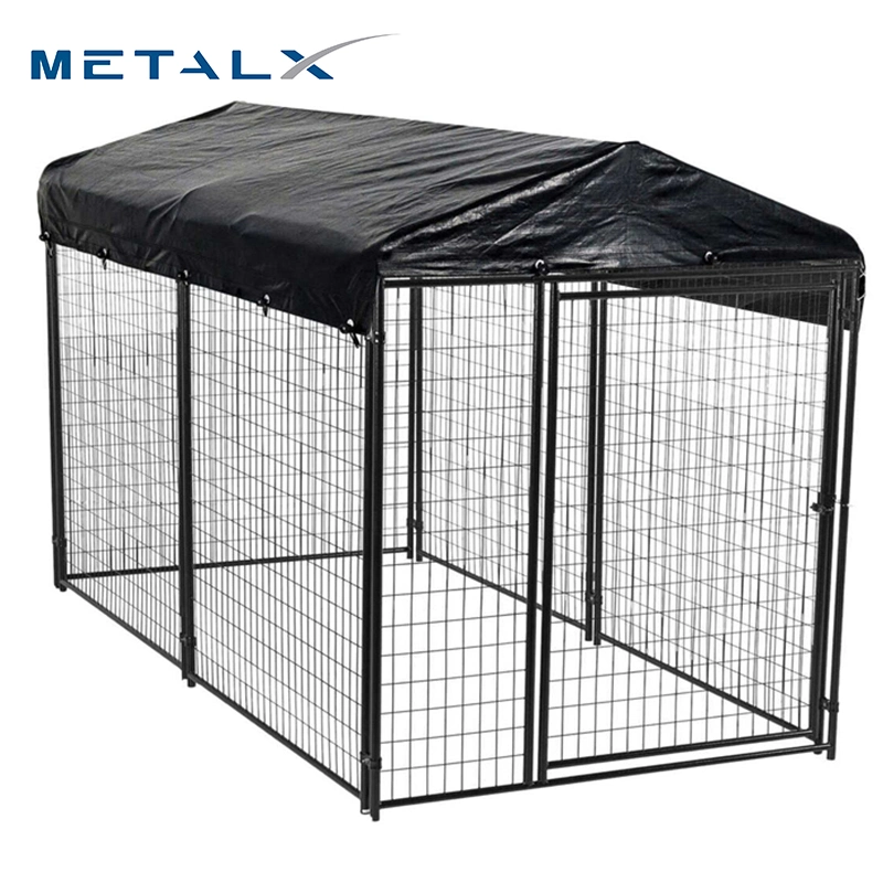 Small Steel Dog Kennel with Galvanized Steel Fence Outside Heavy Duty 5 Glass Door