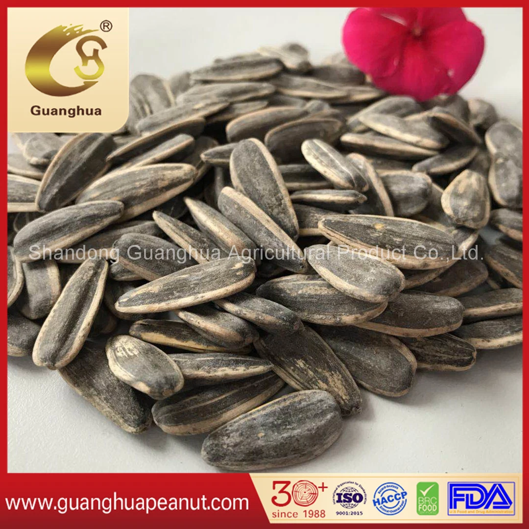 Caramel Flavor Roasted Sunflower Seeds for Sale Bulk Price