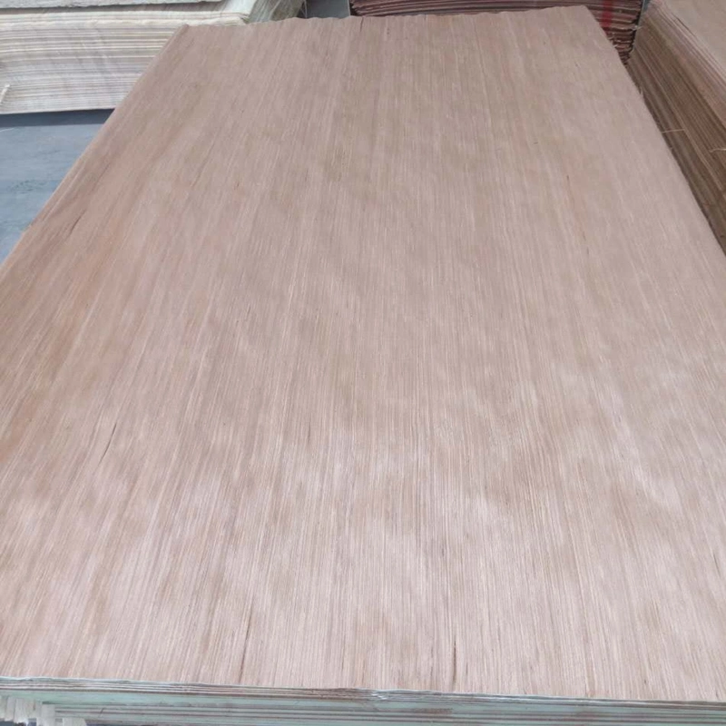 Hot Sale Gurjan and Okumen Veneer in India