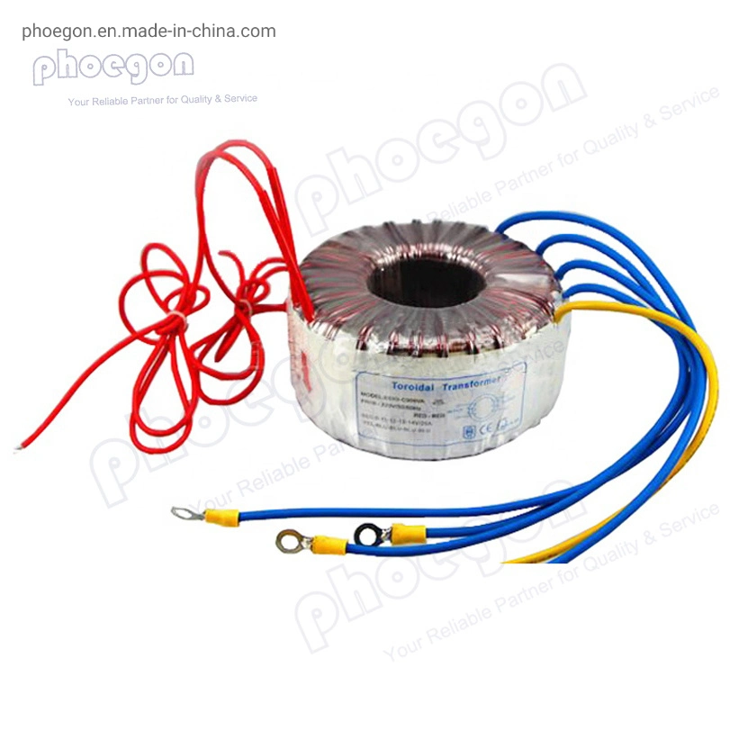 High Voltage Ring Type Toroidal Power Transformer with Lead out