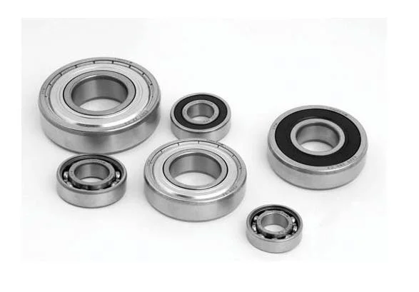 Deep Groove Ball Bearing 619/630m 618/670mA 618/670f3 618/710m 60/710m/C3