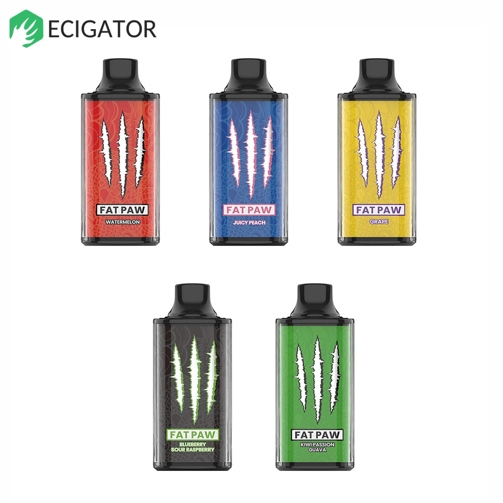 Recargable eléctrico fumar E-cigarrillo Vapes desechables 8000 Puff