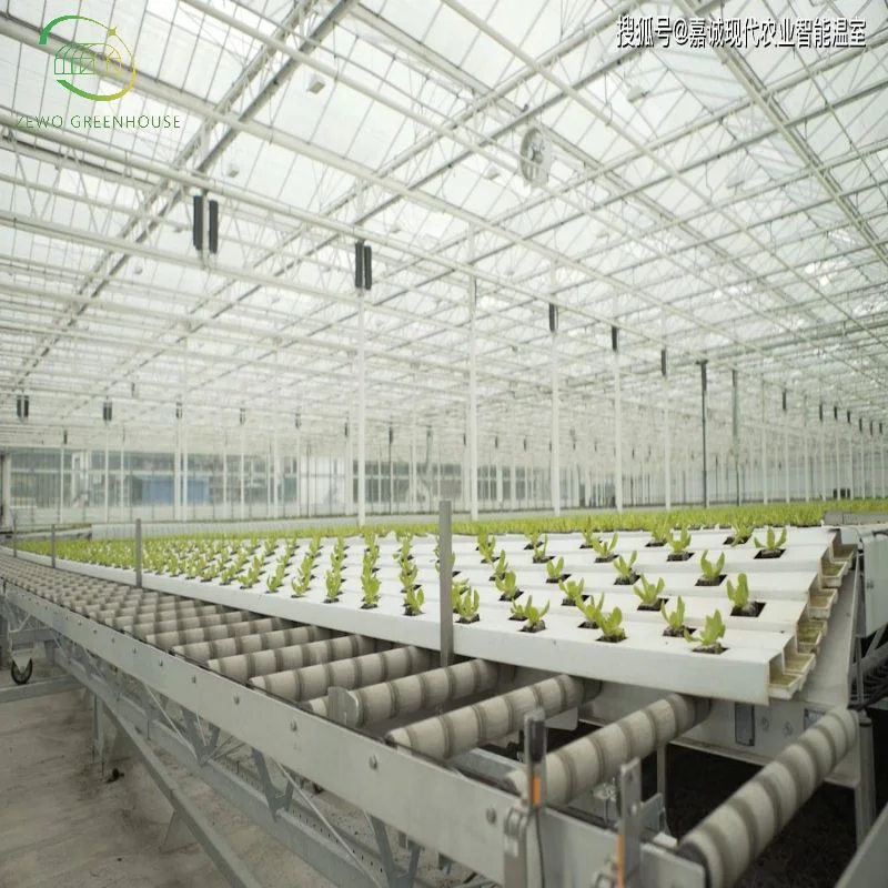 Frame Greenhouse Long Life Galvanized Steel Multi-Span Agricultural Greenhouses Flower Vegetable Growing Stable Structure Glass