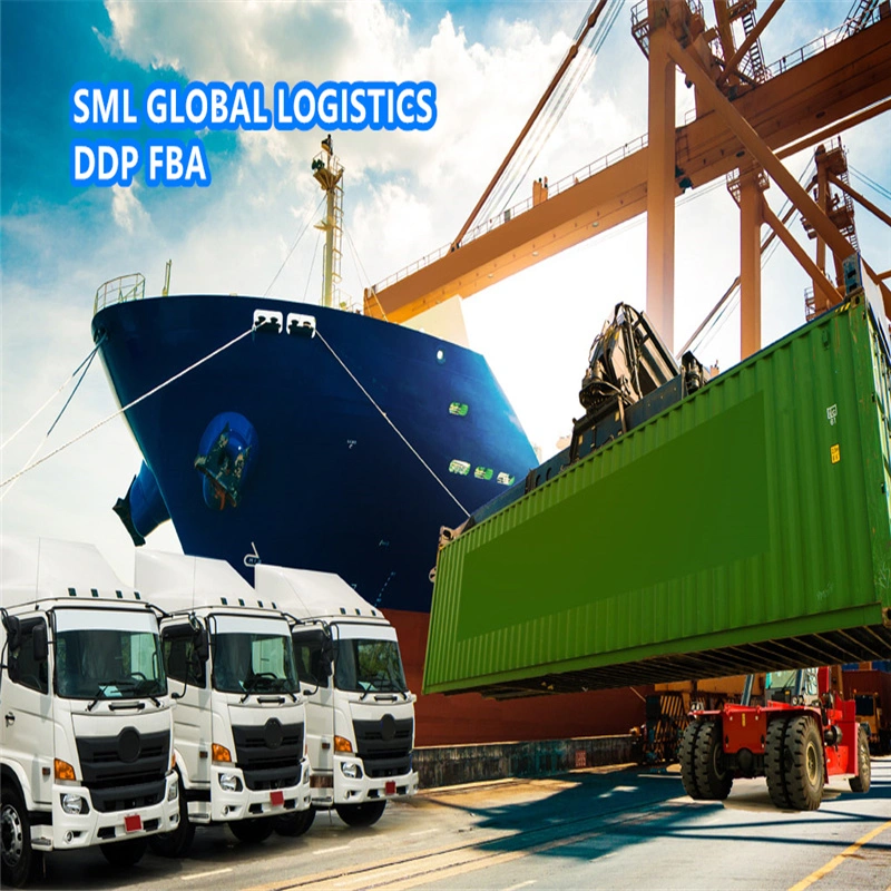 Professional Sea Freight Shipping From China to Lithuania, Estonia Latvia