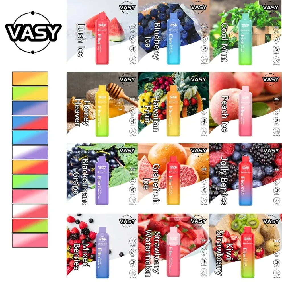 2023 New Arrival Vasy Elise 5000 Puffs Wholesale/Supplier Disposable/Chargeable Vape E Cigarette