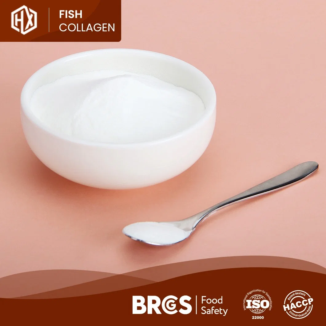 Haoxiang Fish Collagen Pure Hydrolyzed Deep Sea Fish Scale Collagen Powder Enzymatic Hydrolysis Technology Process Hydrolyzed Fish Collagen Powder Manufacturer