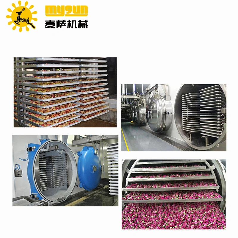 Raspberry Cryodry Vacuum Freeze Lyophilizer Dryer Drying Equipment