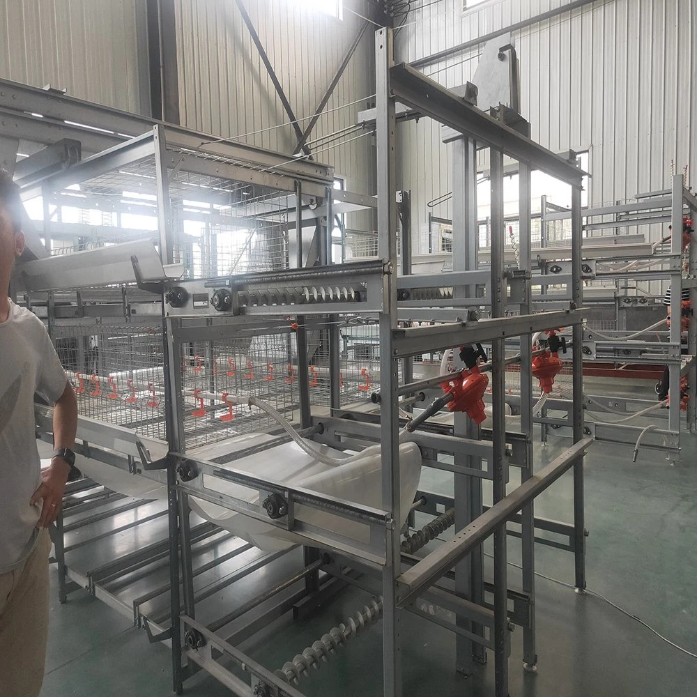 Hochwertige Geflügelzüchtgeräte Layer Chicken Cage mit Automatik System