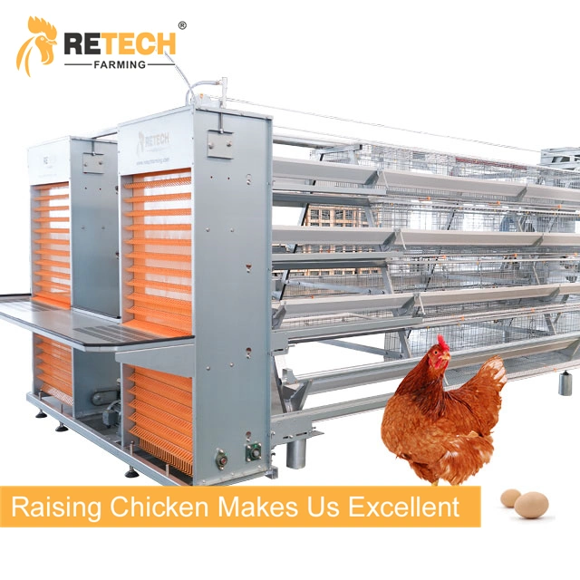 A Type Automatic Layer Rearing Cage Equipment for Sale