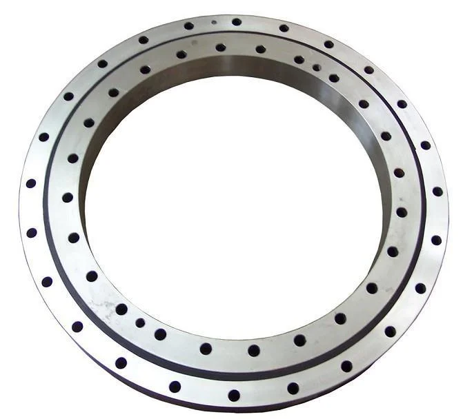 Nb1.25.0855.200-1ppn Bearing Slewing Ring Bearing Manufacturers China